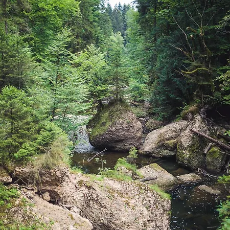Sontheims Naturhotel & Gasthof Maierhöfen